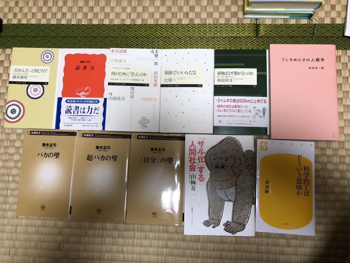 中学入試 頻出 書籍 本 計29冊(小説18冊 評論・説明11冊)中学 中学入試 頻出 書籍 本 計29冊(小説18冊 評論・説明11冊)中学