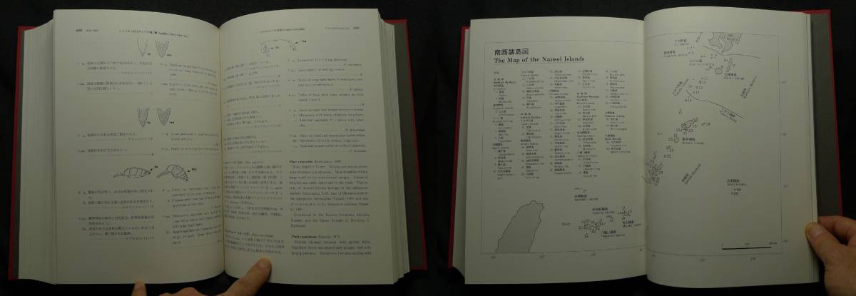 超希少】【初版、新品並美品】古本 南西諸島産有剣ハチ・アリ類検索