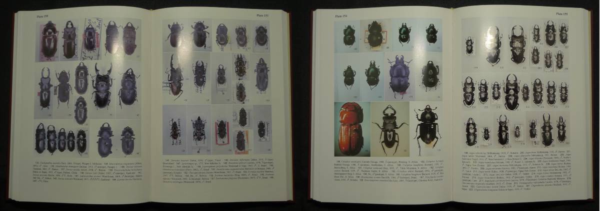 [ super rare ][ new goods average beautiful goods ] secondhand book world. stag beetle large illustrated reference book monthly ..* insect large illustrated reference book series 1 author : water marsh hing .., Nagai confidence two ( have ).. company 