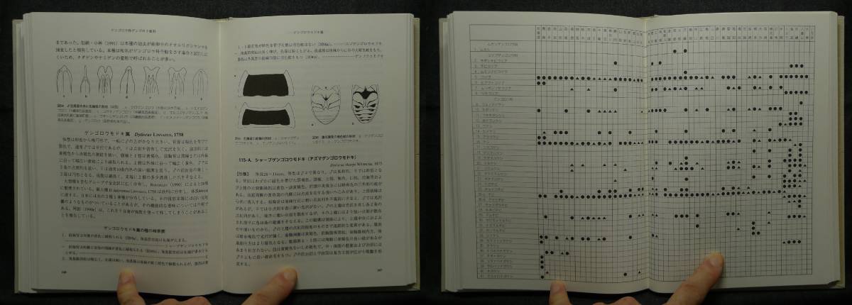 [ super rare ][ the first version, beautiful goods ] secondhand book map opinion japanese gengo low Dytiscoidea of Japan author : forest regular person, north mountain . writing one synthesis publish 