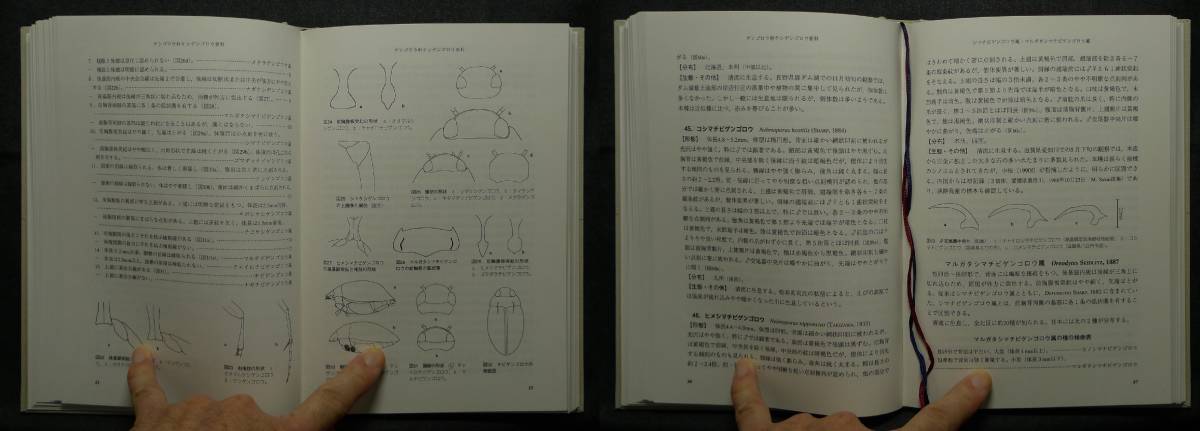 Yahoo!オークション - 【超希少】【初版 美品】古本 図説日本の Yahoo!オークション - 【超希少】【初版 美品】古本 図説日本の