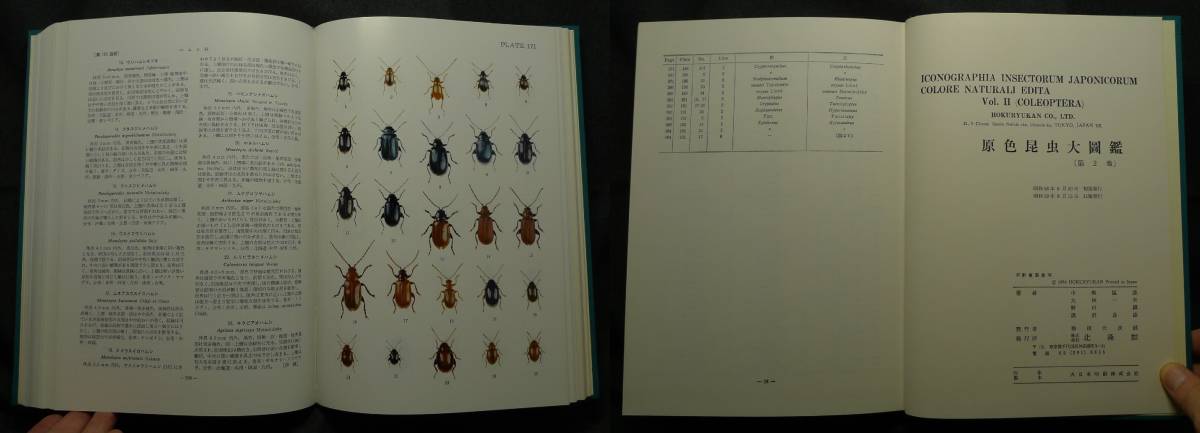 [ rare ][ beautiful goods ] secondhand book . color insect large ..Ⅱ. insect . author : middle root .., large . one Hara,..., black . good .( stock ) north . pavilion 