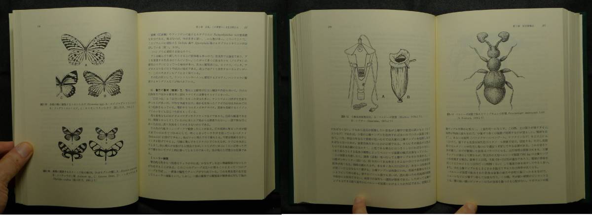 [ super rare ][ the first version ] secondhand book insect collection . author : horse place gold Taro, flat ...( fortune ) Kyushu university publish .