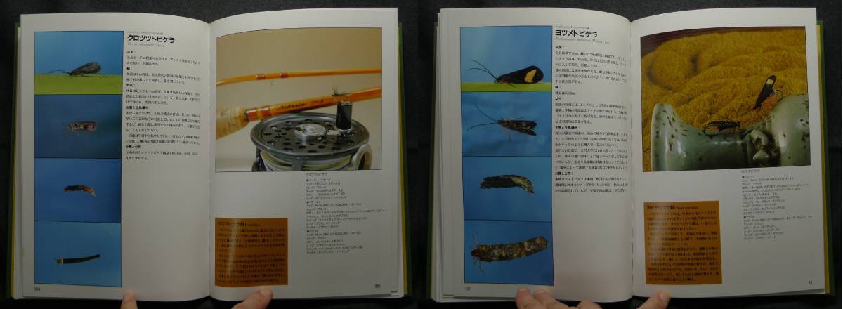 [ super rare ][ beautiful goods ] secondhand book CADDIS flying kela. fly fishing author :. rice field one three *. cape . Hara * rice field fee ..* rice field fee law . also work . settled . publish 