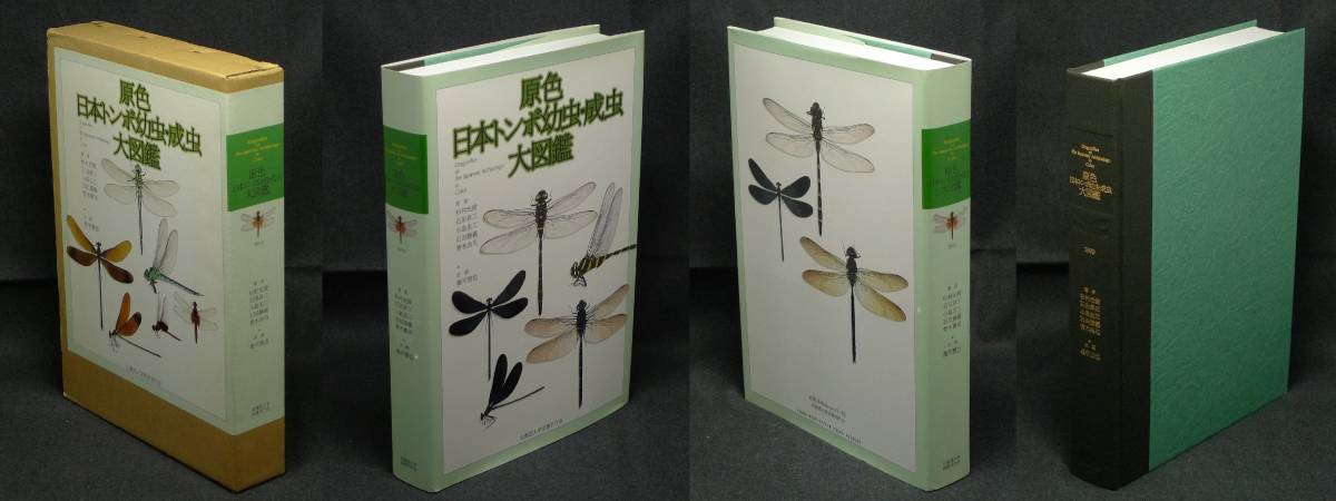 [ super rare, the first version, new goods average beautiful goods ] secondhand book . color Japan dragonfly larva * imago large illustrated reference book work : Japanese cedar . light . stone rice field . three small island . three stone rice field .. Aoki .. Hokkaido university books . line .