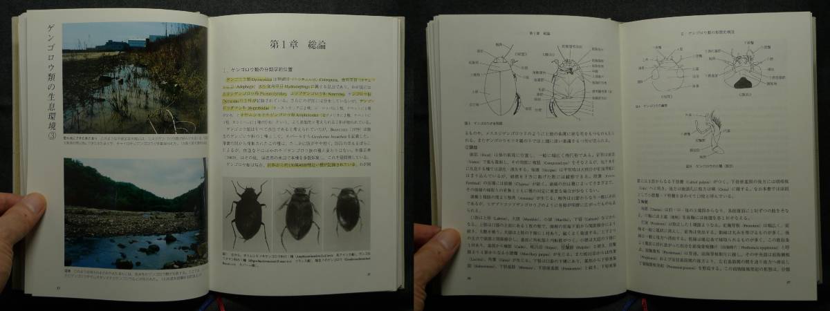 Yahoo!オークション - 【超希少】【初版 美品】古本 図説日本の Yahoo!オークション - 【超希少】【初版 美品】古本 図説日本の
