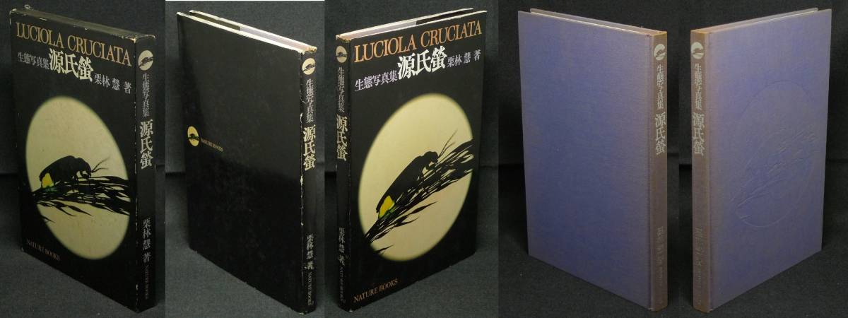[ супер редкий ][ первая версия ] старая книга сырой . фотоальбом источник ..LUCIOLA CRUCIATA автор : Kuribayashi .( иметь ) nature * книги 