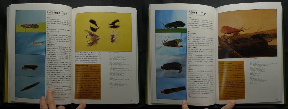 [ super rare ][ beautiful goods ] secondhand book CADDIS flying kela. fly fishing author :. rice field one three *. cape . Hara * rice field fee ..* rice field fee law . also work . settled . publish 