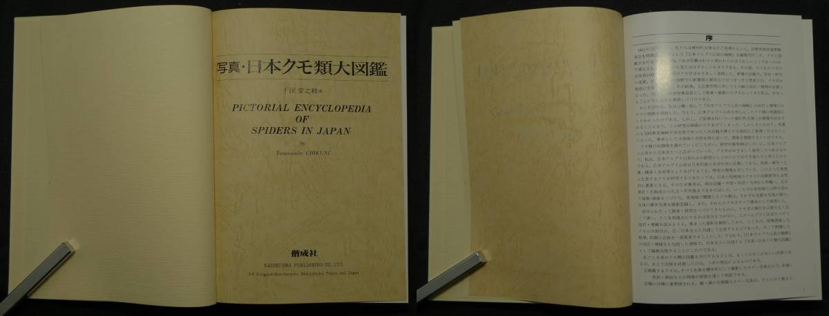 【超希少】【初版、美品】古本　写真・日本クモ類大図鑑　PICTORIAL ECYCLOPEDIA OF SPIDERS IN JAPAN　著者：千国安之輔　（株）偕成社_画像3