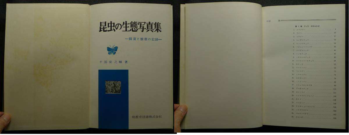 [ super rare ][ the first version ] secondhand book insect. raw . photoalbum breeding . observation. record author : thousand stone cheap ... education books ( stock )