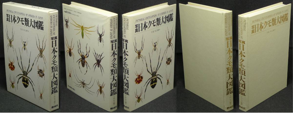 【超希少】【初版、美品】古本　写真・日本クモ類大図鑑　PICTORIAL ECYCLOPEDIA OF SPIDERS IN JAPAN　著者：千国安之輔　（株）偕成社_画像2