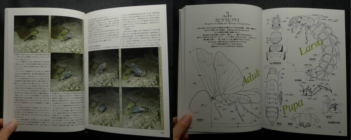 [ super rare ][ beautiful goods ] secondhand book CADDIS flying kela. fly fishing author :. rice field one three *. cape . Hara * rice field fee ..* rice field fee law . also work . settled . publish 