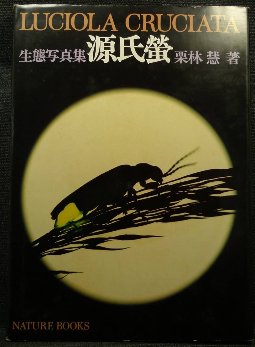 [ super rare ][ the first version ] secondhand book raw . photoalbum source ..LUCIOLA CRUCIATA author : Kuribayashi .( have ) nature * books 