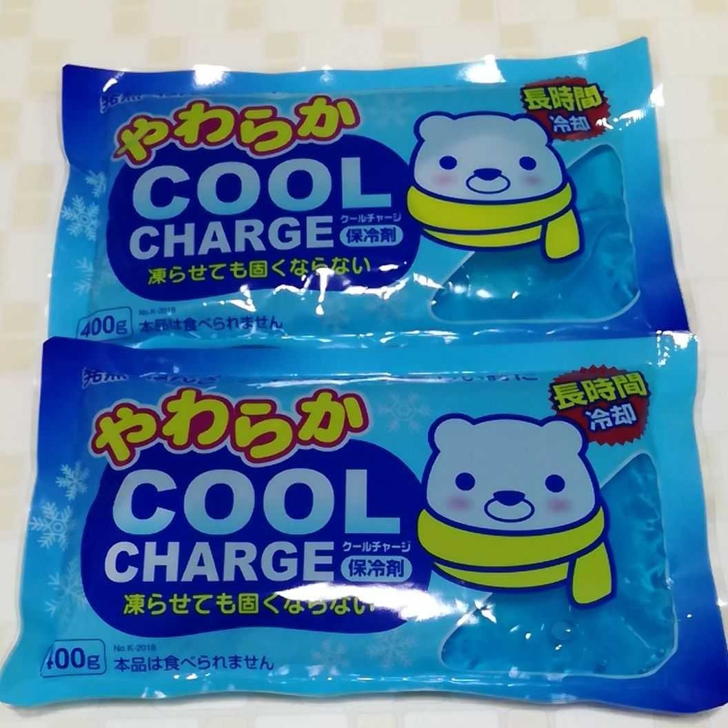 Paypayフリマ やわらかアイスノン 保冷剤 アイス 枕 ベビー 子供 アイスノン Paypayフリマ やわらかアイスノン 保冷剤 アイス 枕 ベビー 子供 アイスノン