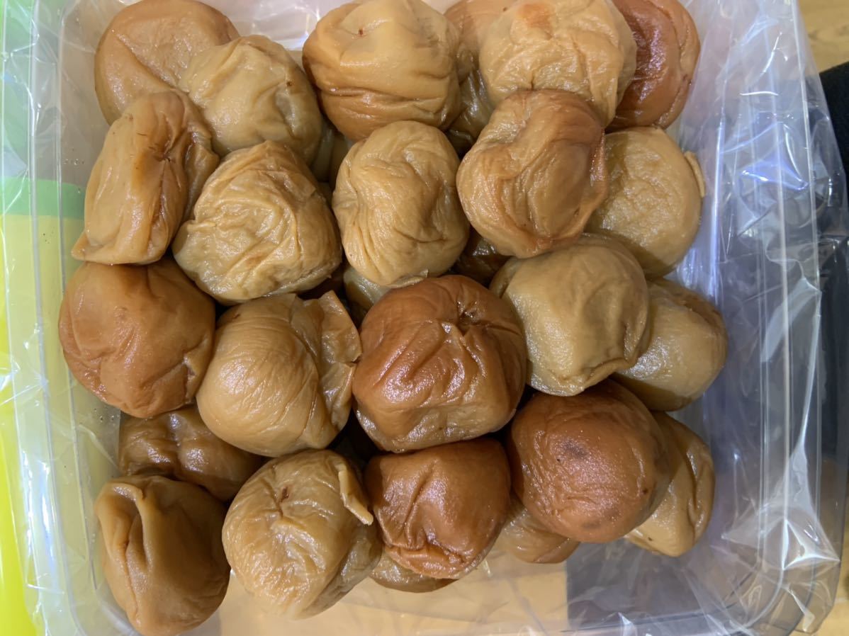 訳あり品【紀州のはちみつ梅干】 1kg 4Lサイズ