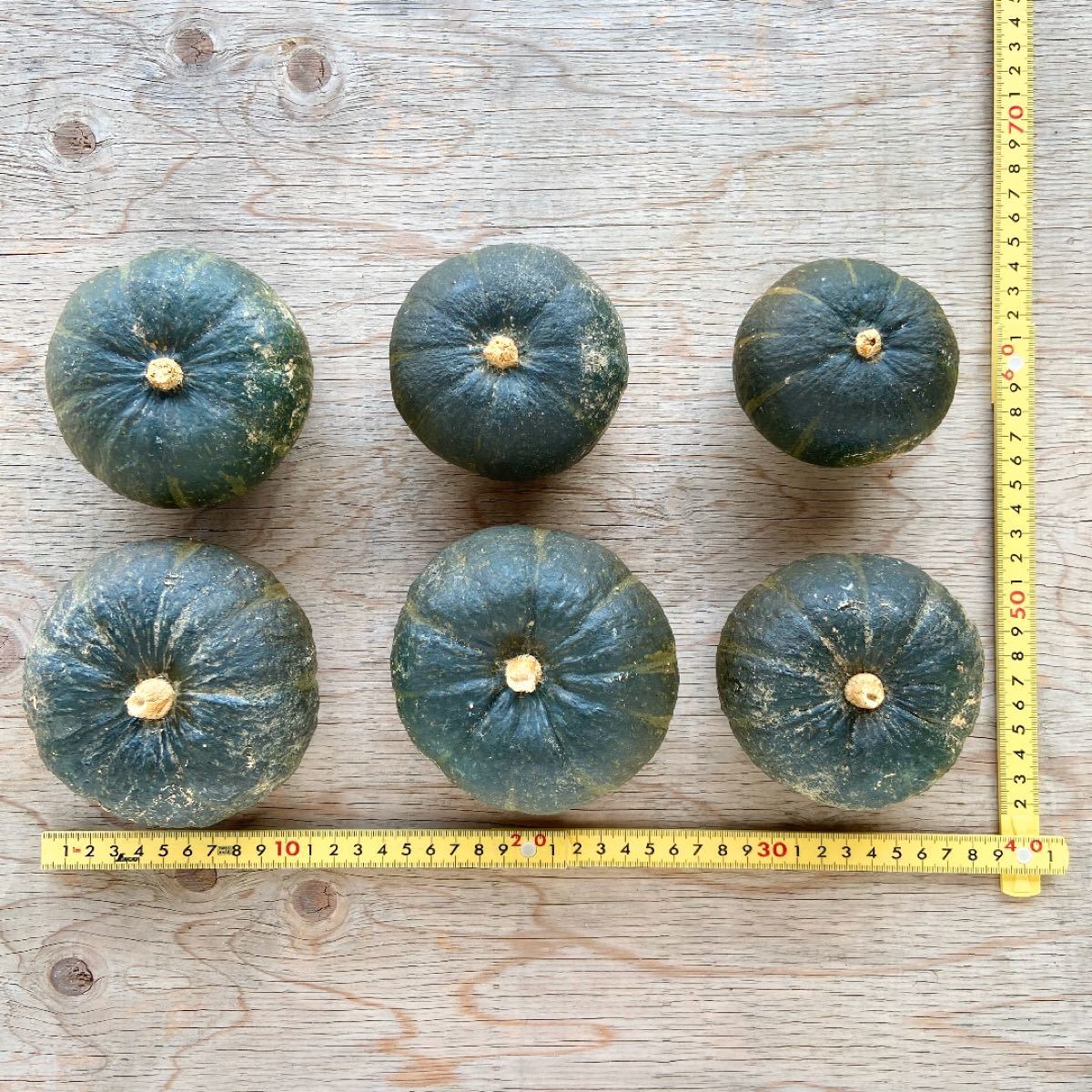無農薬栽培　南瓜　坊ちゃんかぼちゃ　6個　合計約2kg