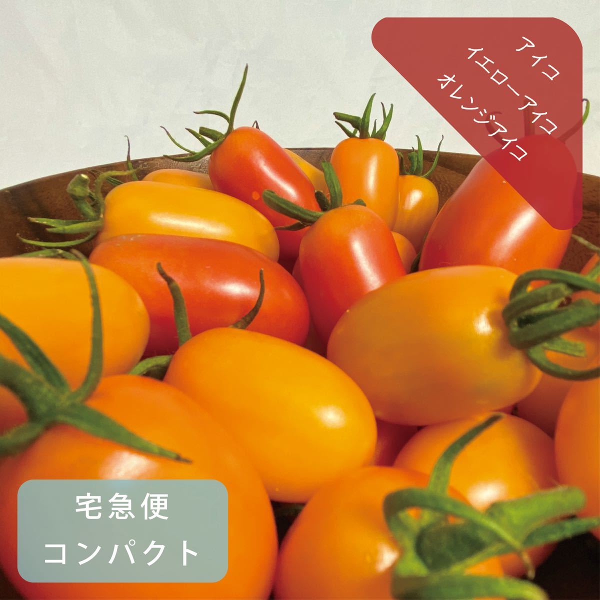 アイコ(レッド・イエロー・オレンジ) 約950g 無農薬栽培ミニトマト詰め合わせ