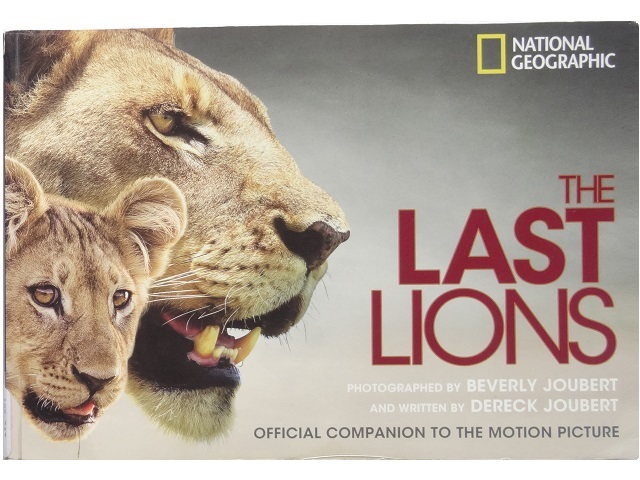 ヤフオク 洋書 ライオンの写真集 本 動物 サバンナ 大自然
