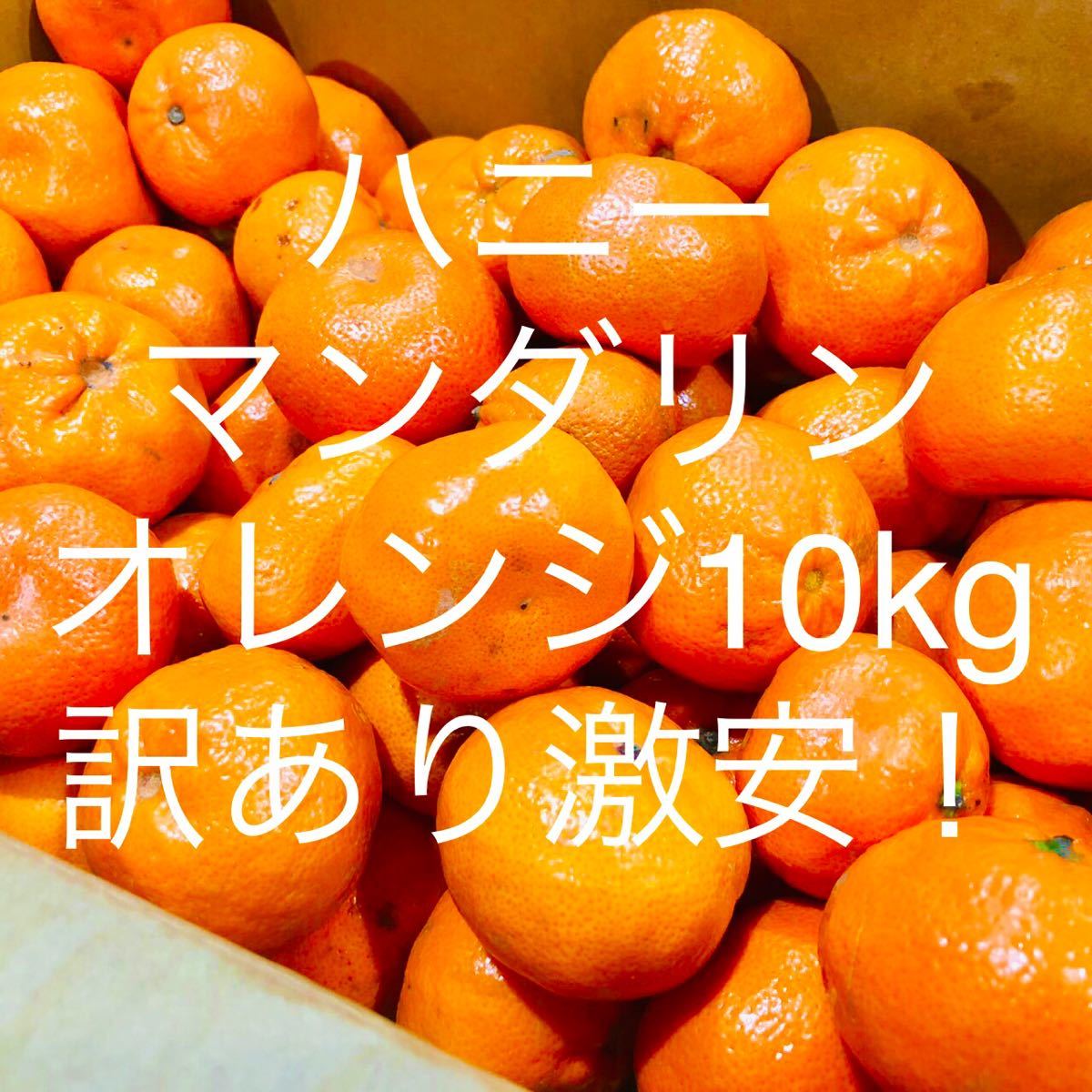 Paypayフリマ ハニーマンダリンオレンジ10kg 訳あり激安 全国送料無料 Paypayフリマ ハニーマンダリンオレンジ10kg 訳あり激安 全国送料無料