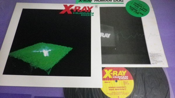 【LP】X-RAY/Human Dog 45rpm 盤面良好 12HS5_画像9