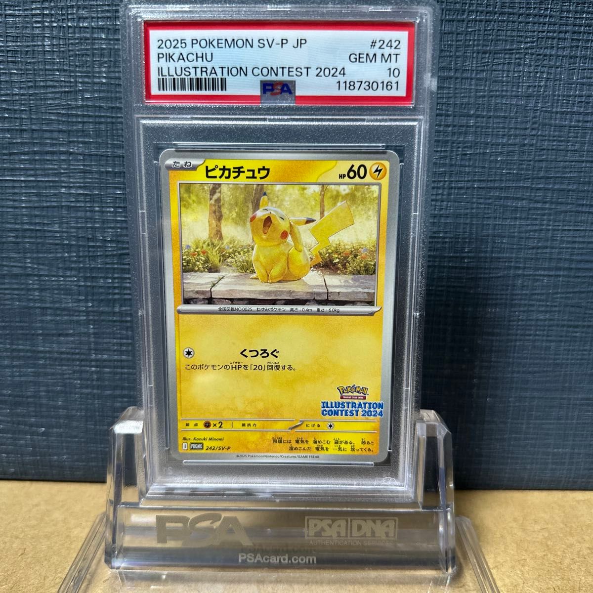 2025 ピカチュウ イラストレーション コンテスト psa10 PSA10 ピカチュウ 242/SV-P イラストレーションコンテスト 2025