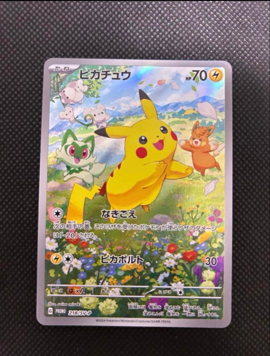 ポケモンカード ピカチュウ プロモ 2枚セット bw-p sc ピカチュウ プロモ 2枚セット ポケモンカードゲーム|Yahoo