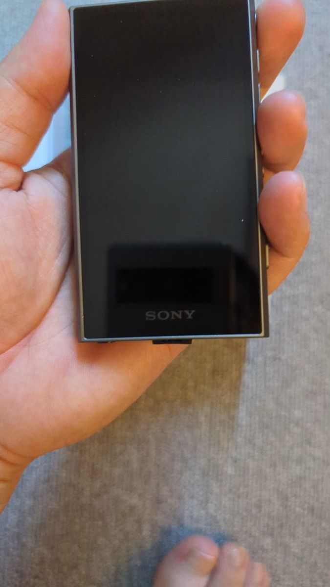 SONY ウォークマン NW-A307 グレー 64GB