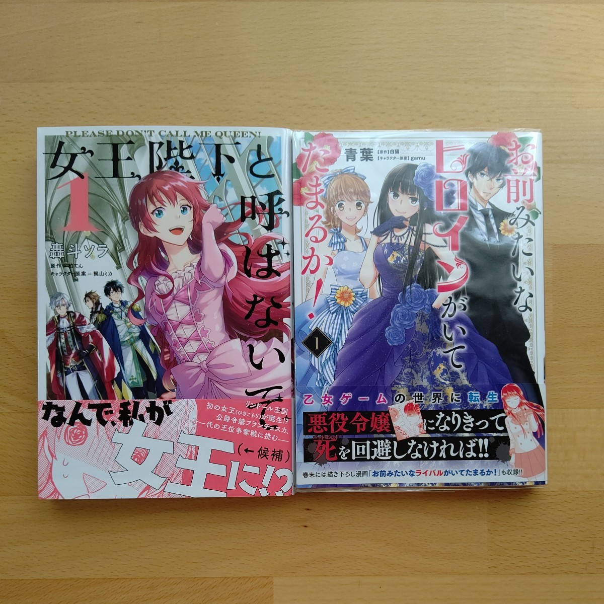 Paypayフリマ 女王陛下と呼ばないで お前みたいなヒロインがいてたまるか Paypayフリマ 女王陛下と呼ばないで お前みたいなヒロインがいてたまるか