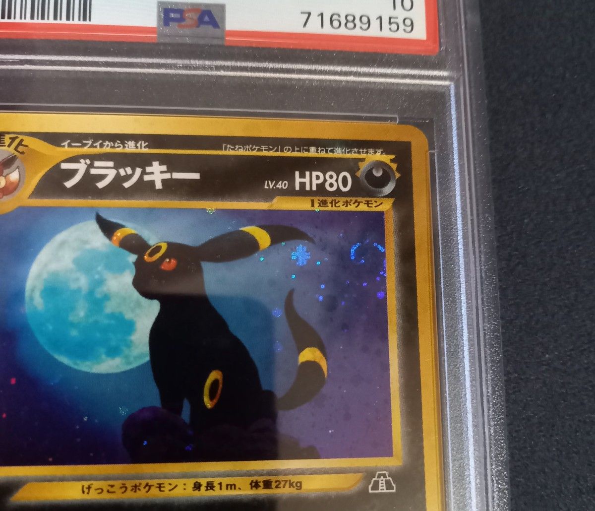 大晦日までの値下げです!【極希少】PSA10 ブラッキー 旧裏 ブラッキー 旧裏 PSA10 ポケモンカード|Yahoo!フリマ(旧PayPay