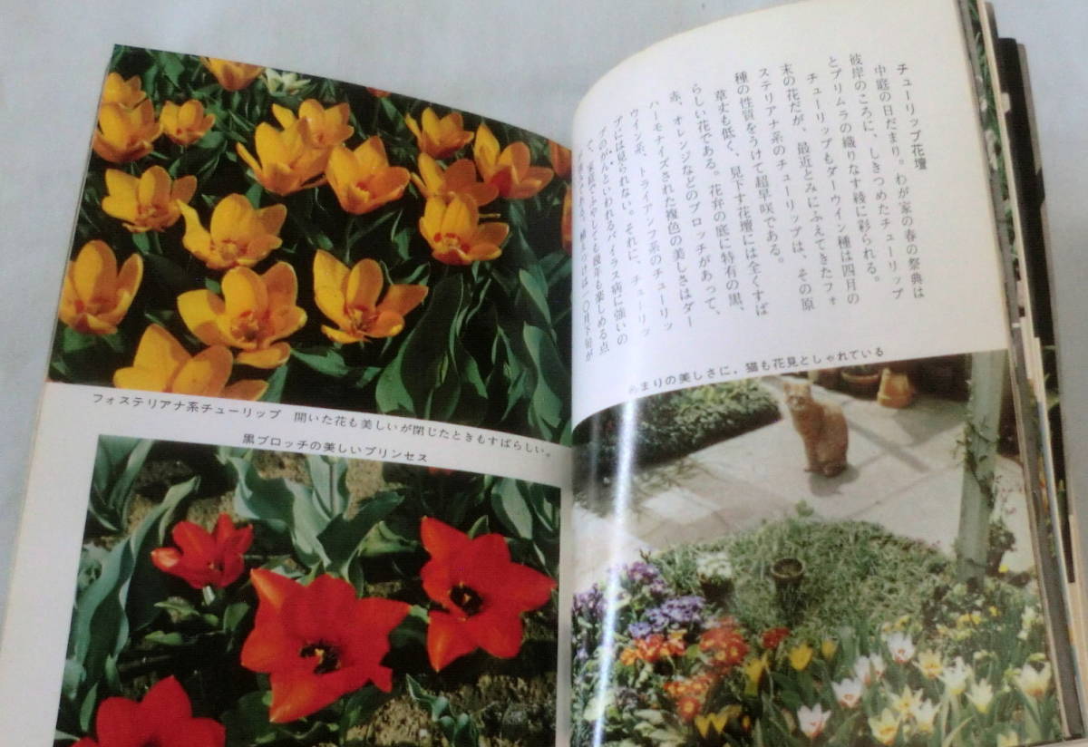 ★【文庫】家庭園芸Ⅰ―早春から初夏までの草花 ◆ 浅山英一 ◆ カラーブックス99 ◆ _画像4