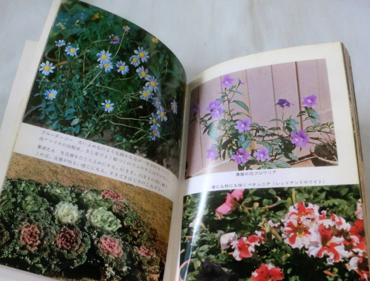 ★【文庫】家庭園芸Ⅱ―夏から冬までの草花 ◆ 浅山英一 ◆ カラーブックス107 ◆ _画像5