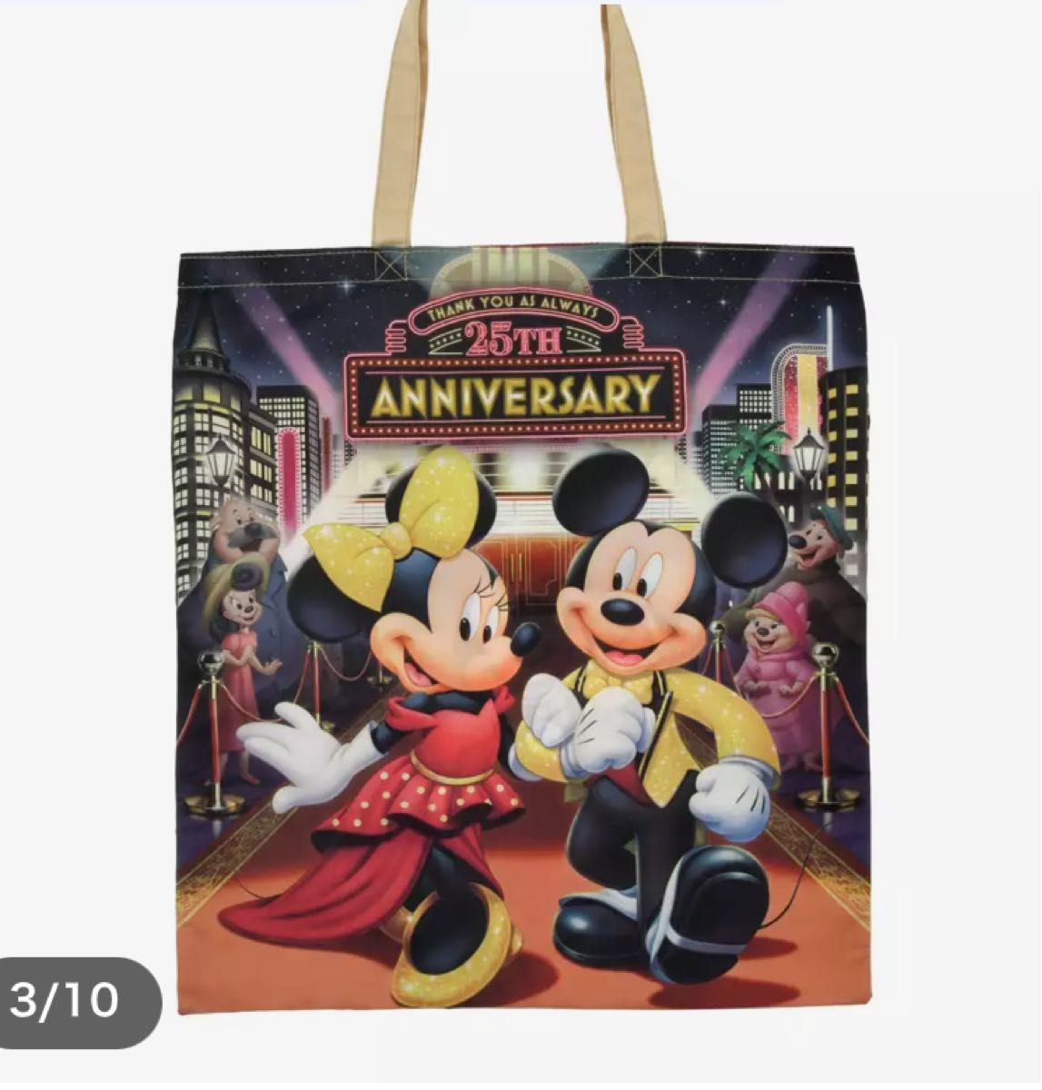 ミッキー &ミニーぬいぐるみ ショッピングバッグ(S)2枚リゾート店25周年記念 東京ディズニーリゾート店限定 ミッキー&ミニーショッピング