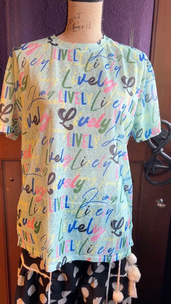 パステルカラー グリーン 英文字 ブラウス トップス シースルー 透け感 涼しい カジュアル 可愛い Tシャツ フェス 個性派