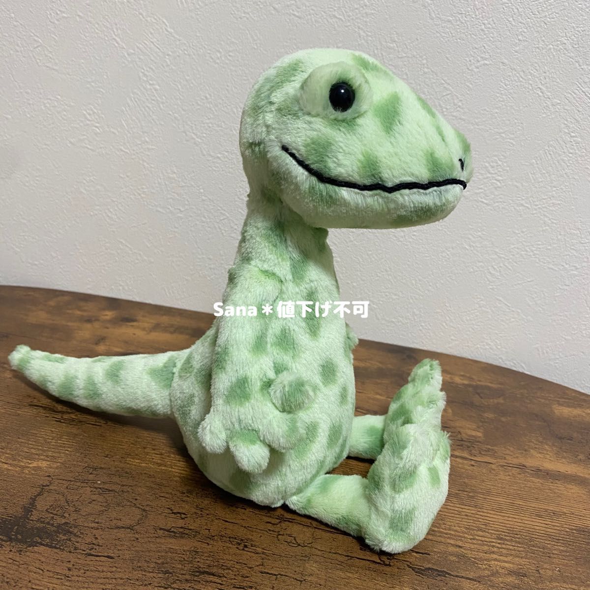 新品 ジェリーキャット ヤモリ 家守 トカゲ 爬虫類 Gunner Gecko