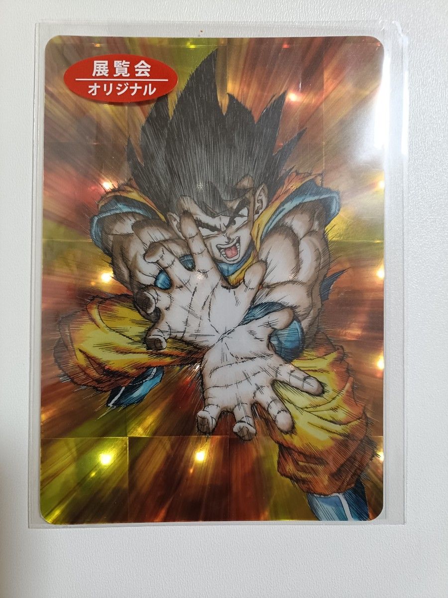 ドラゴンボール ポストカード 限定ホロカード ドラゴンボール 鳥山明 展覧会 孫悟空 かめはめ波 ポストカード