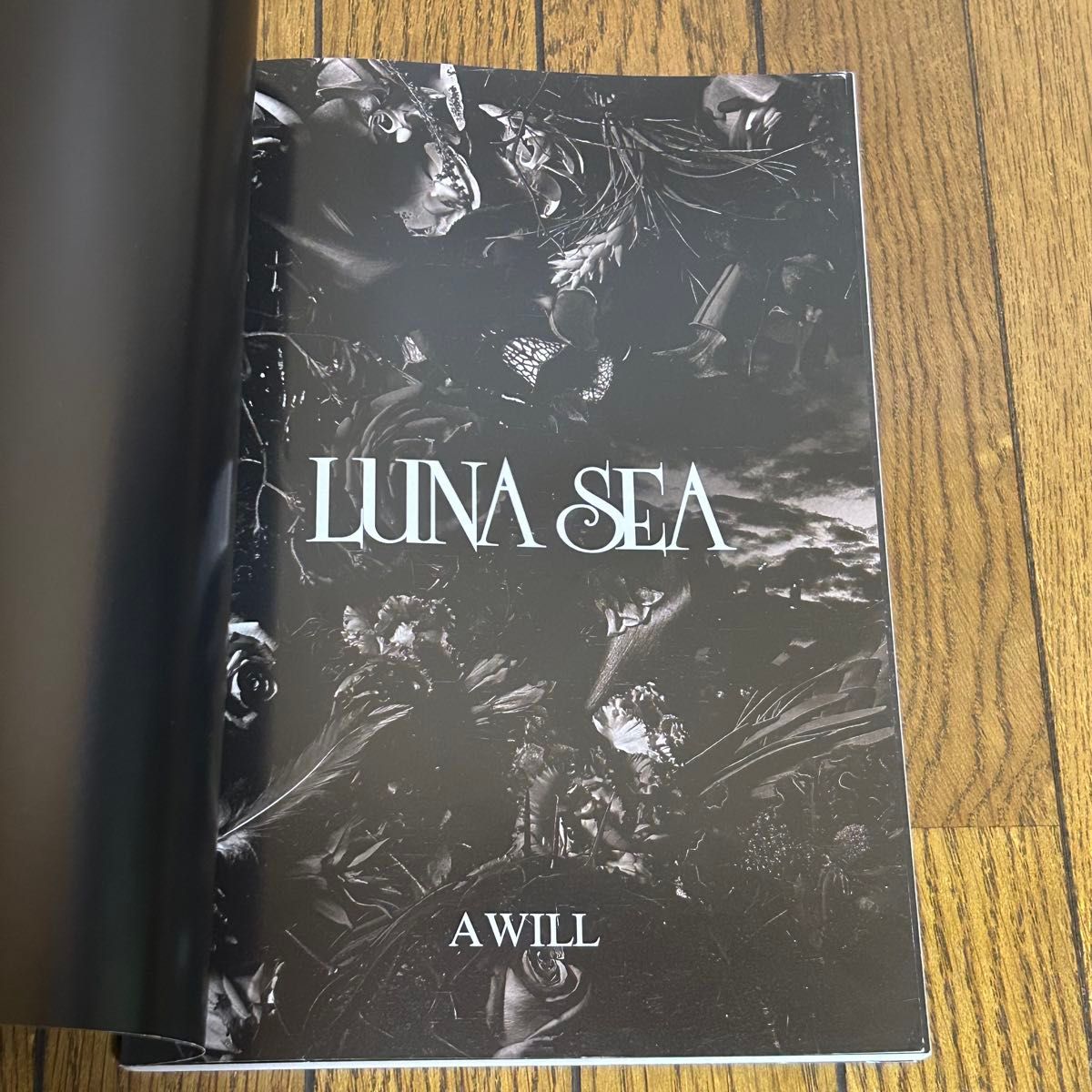 LUNA SEA A WILL バンドスコア 楽譜 ルナシー バンドスコア LUNA SEA 楽譜 タブ譜 スコア A WILL