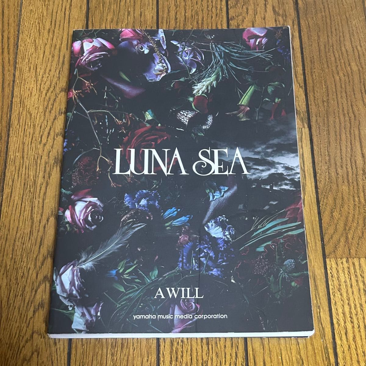 LUNA SEA A WILL バンドスコア ルナシー バンドスコア LUNA SEA 楽譜 タブ譜 スコア A WILL