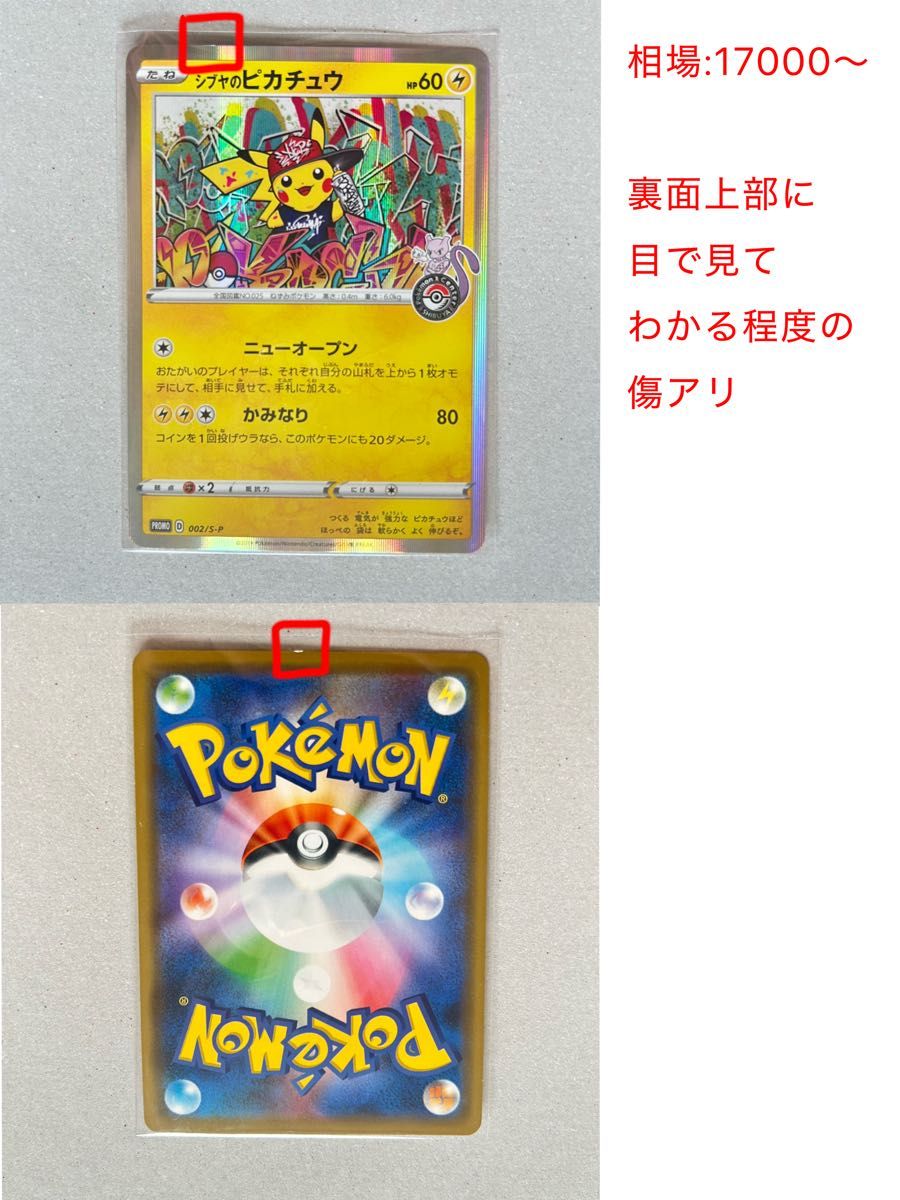 ポケモンカード ポケパーク まとめ売り ポケモンカードまとめ売り プロモ含む ピカチュウ ポケパーク