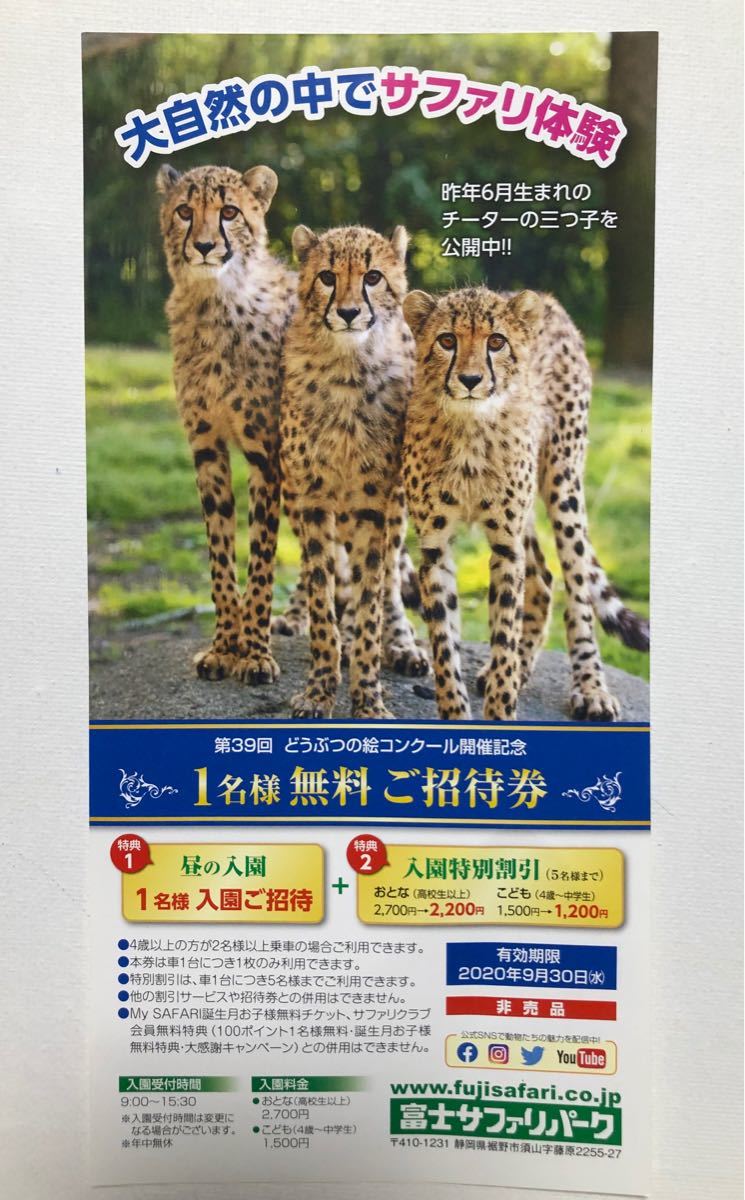 富士サファリパーク 招待券 - 動物園