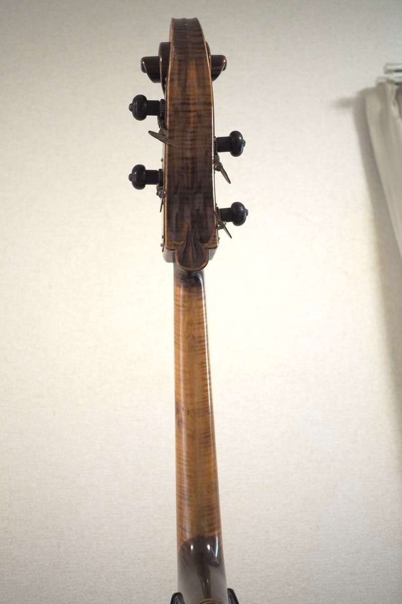 高級上位モデル S Cremona No.800 コントラバス ソフトケース付き 高級上位モデル S Cremona No 800 コントラバス ソフトケース