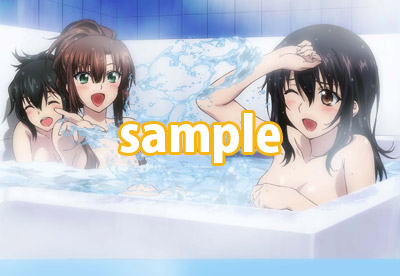 雪菜&凪沙&紗矢華 B2タペストリー 「DVD/Blu-ray ストライク・ザ・ 雪菜&凪沙&紗矢華 B2タペストリー 「DVD/Blu-ray ストライク・ザ・