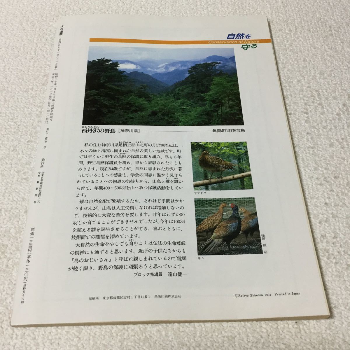 39 大白蓮華 1991年11月号 No.491 創価学会 松岡資 社会 仏法 本 平和 人間 法理 ルネサンス 宗教 仏教 日本_画像7