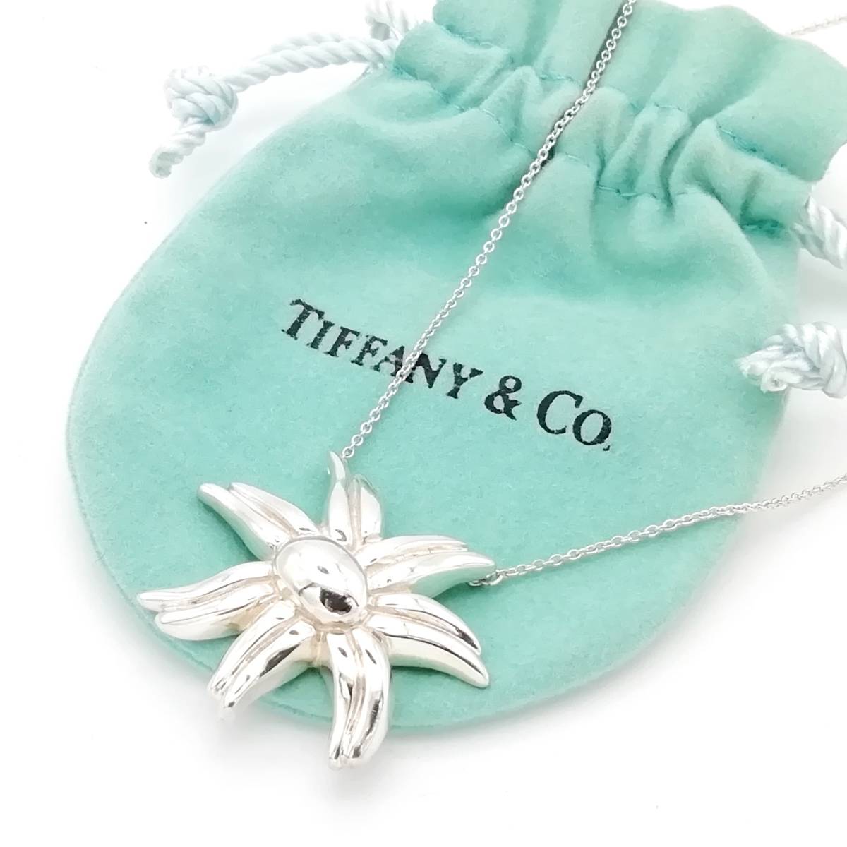 希少 美品 Tiffany&Co. ヴィンテージ ティファニー ファイヤーワークス シルバー ネックレス フラワー SV925 II23