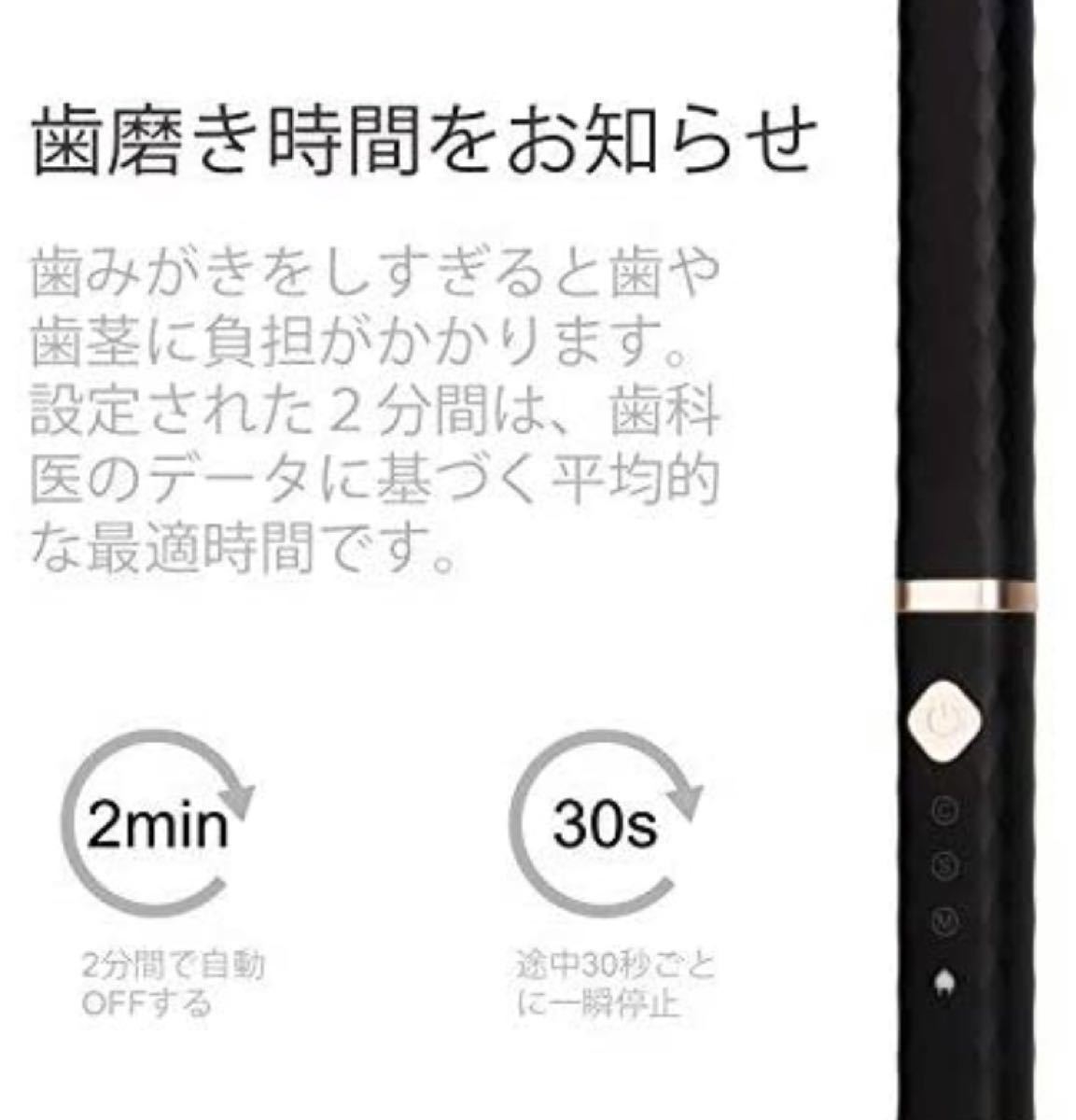 電動歯ブラシ 音波 3モード 2分オートタイマー USB充電 替えブラシ2本