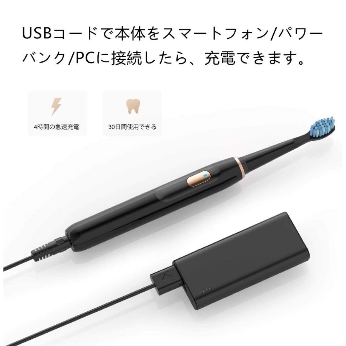 電動歯ブラシ 音波 4モード 2分オートタイマー USB充電 替えブラシ2本