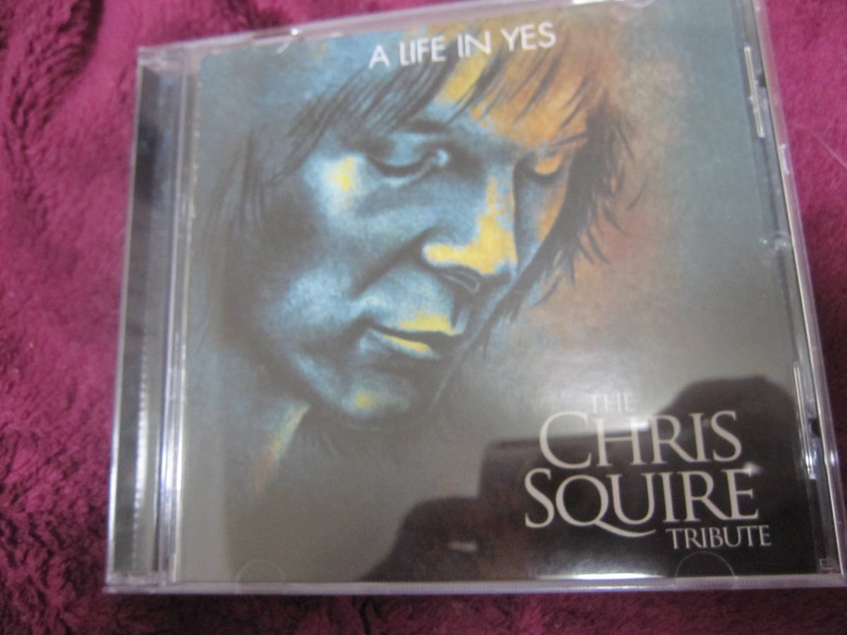 輸入美品CD クリス・スクワイア・トリビュート（ex.イエス）／A LIFE IN YES　The Chris Squire Tribute トッド・ラングレン参加_画像1