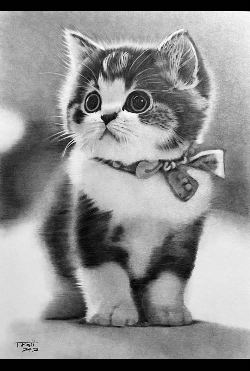 Sページ 手描きイラスト 猫 ねこ 手描きイラスト 鉛筆画 A4 No 1|Yahoo!フリマ(旧