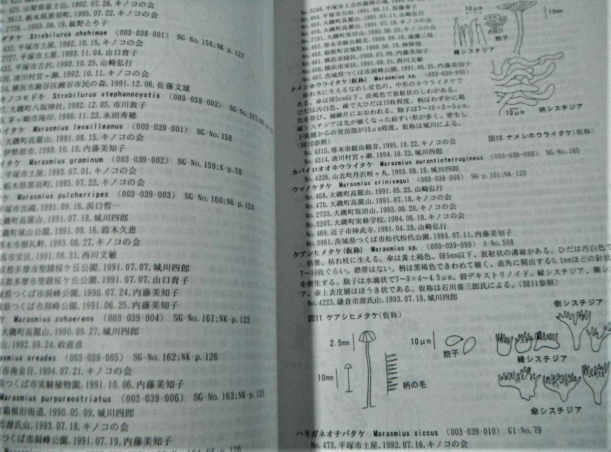 !即決!収録標本1019種、4272点「キノコ類標本目録」_画像3