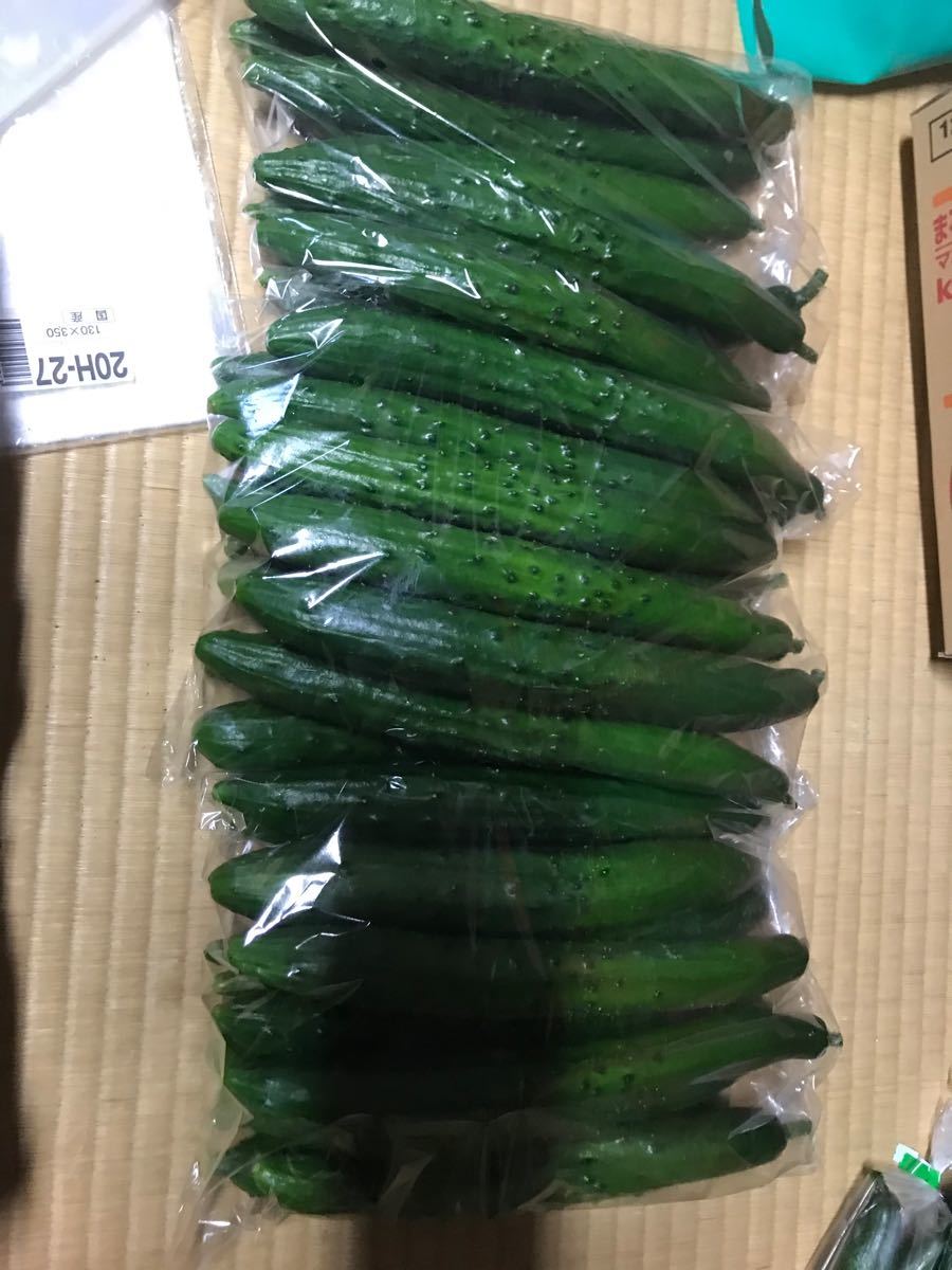 訳あり 朝採り野菜 新鮮きゅうり規格外詰め合わせ 約5kg