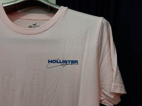 Hollister グラフィック バックプリント Tシャツ 半袖/L/ピンク/メンズ ホリスター アバクロ カットソー a&f_画像8